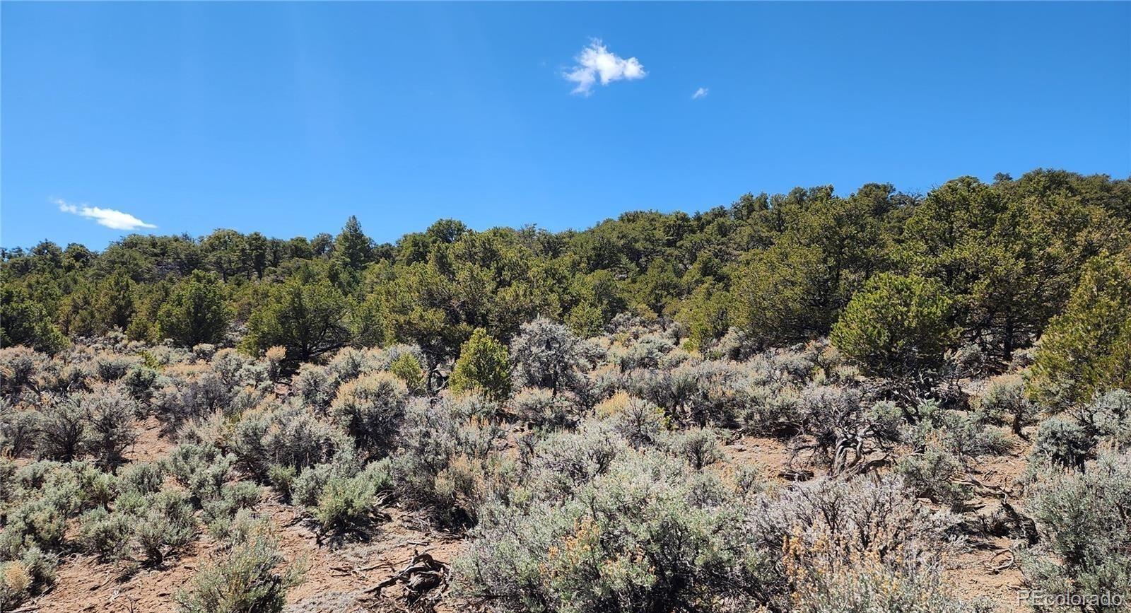 Lot 48 Erin The Red Road San Luis CO 81152