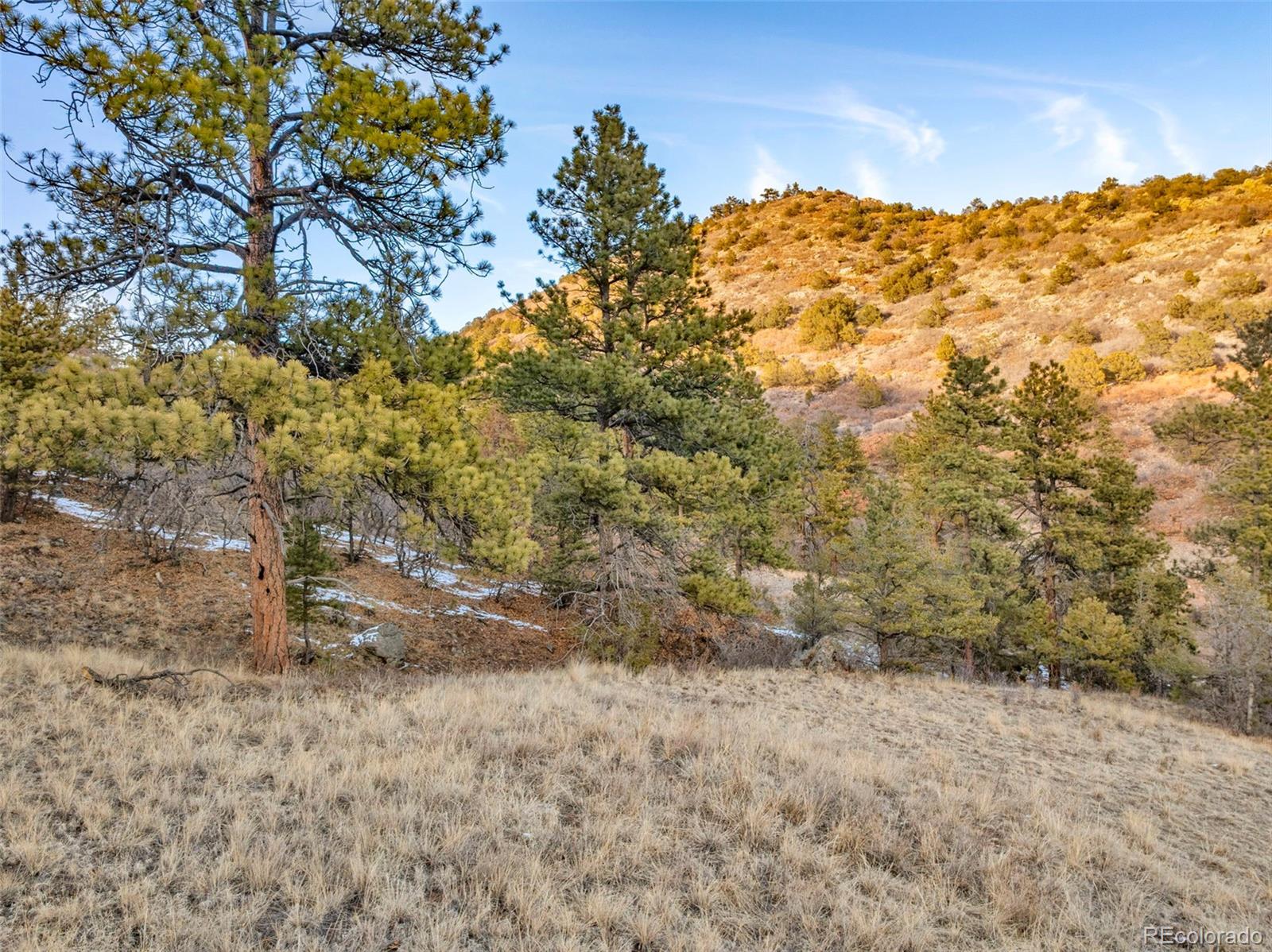 Taylor Trail Canon City CO 81212
