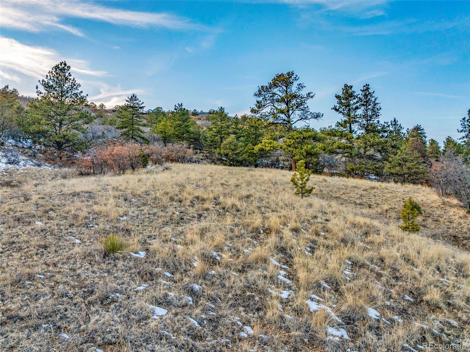Taylor Trail Canon City CO 81212