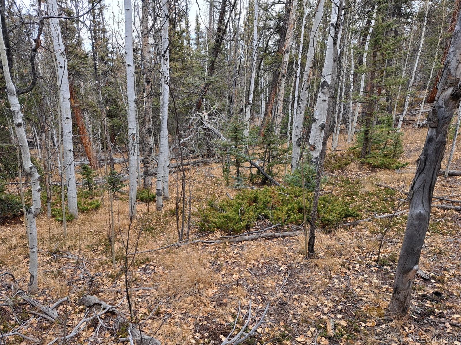 210 Tepee Trail Como CO 80432