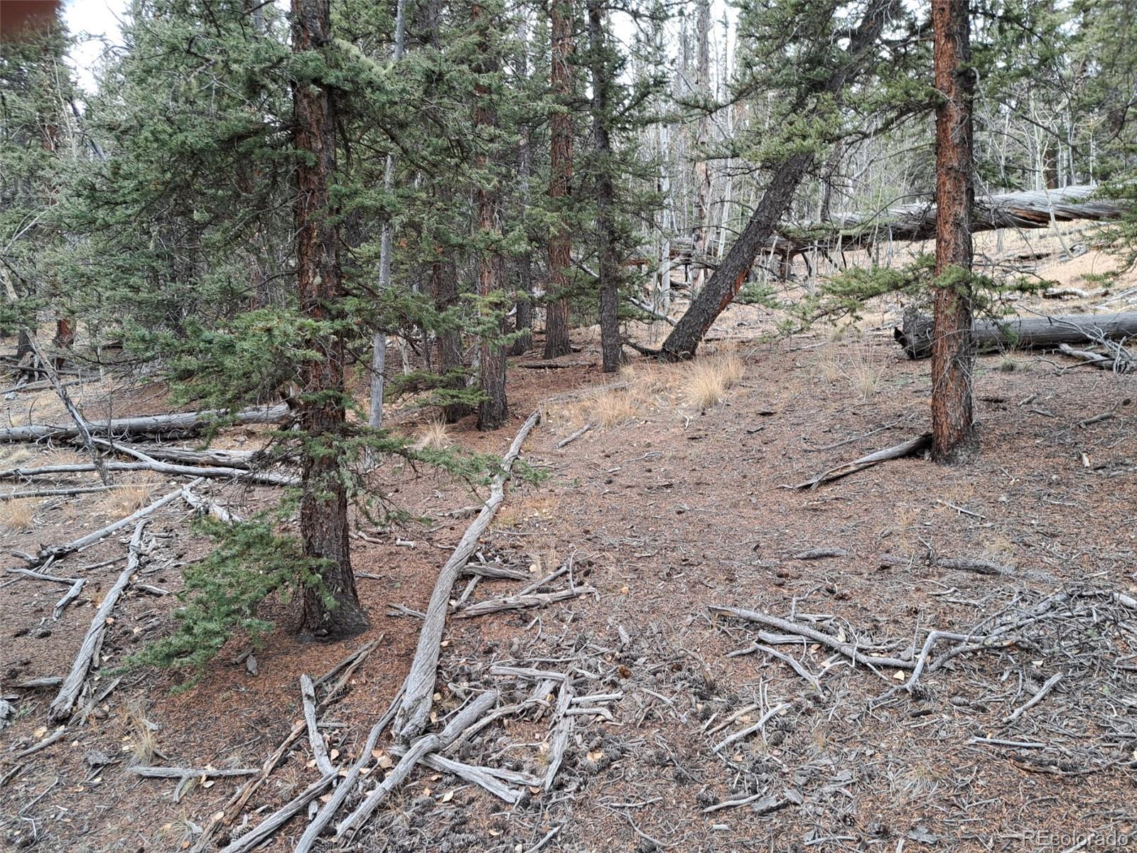 210 Tepee Trail Como CO 80432