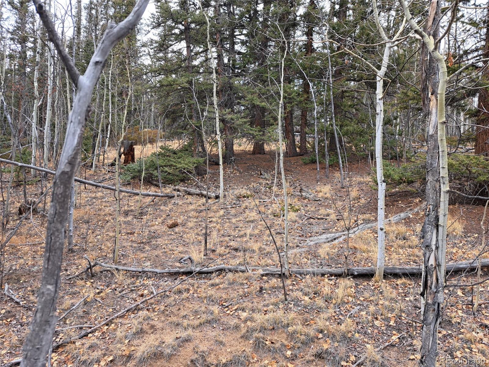 210 Tepee Trail Como CO 80432