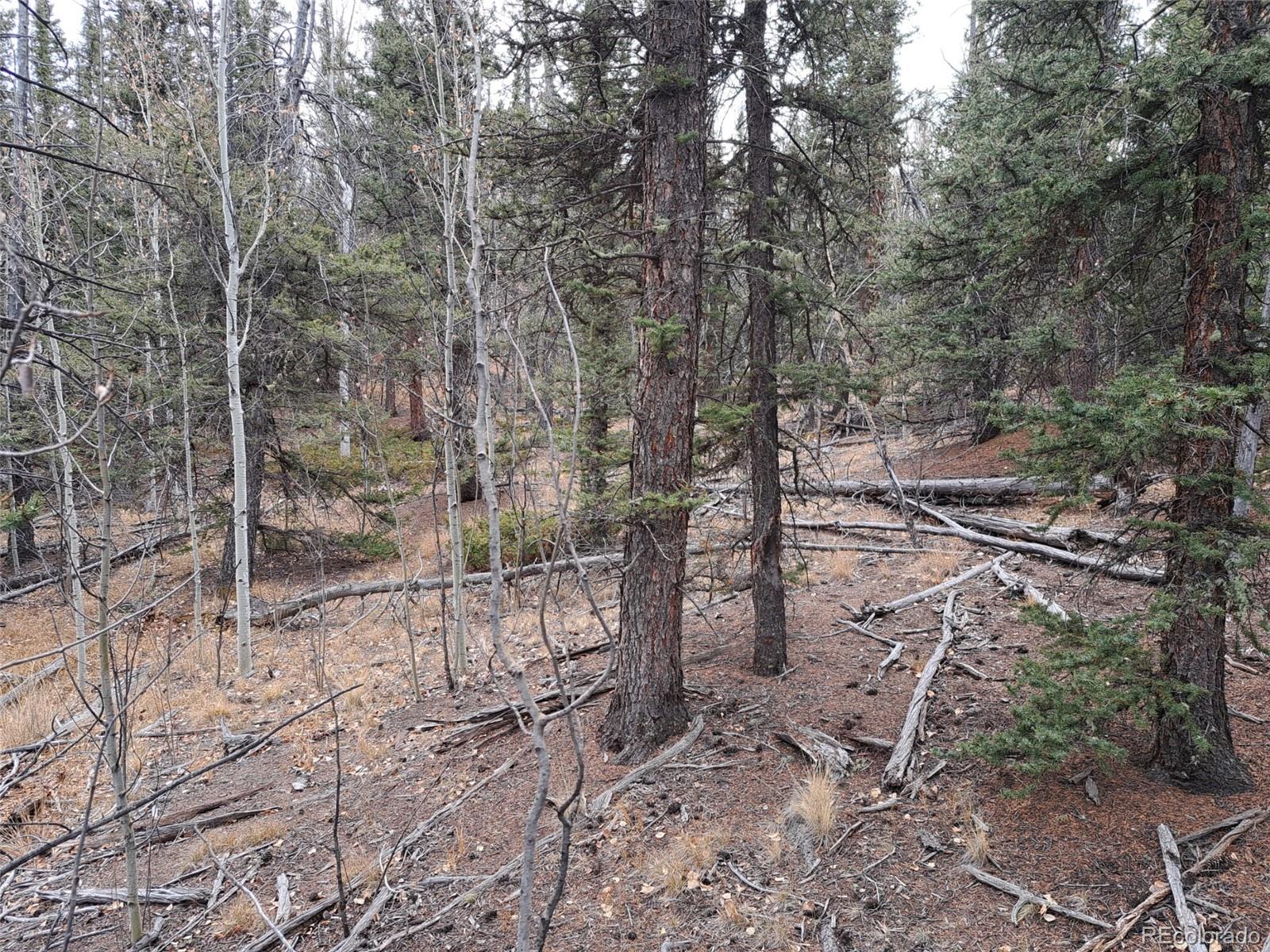 210 Tepee Trail Como CO 80432