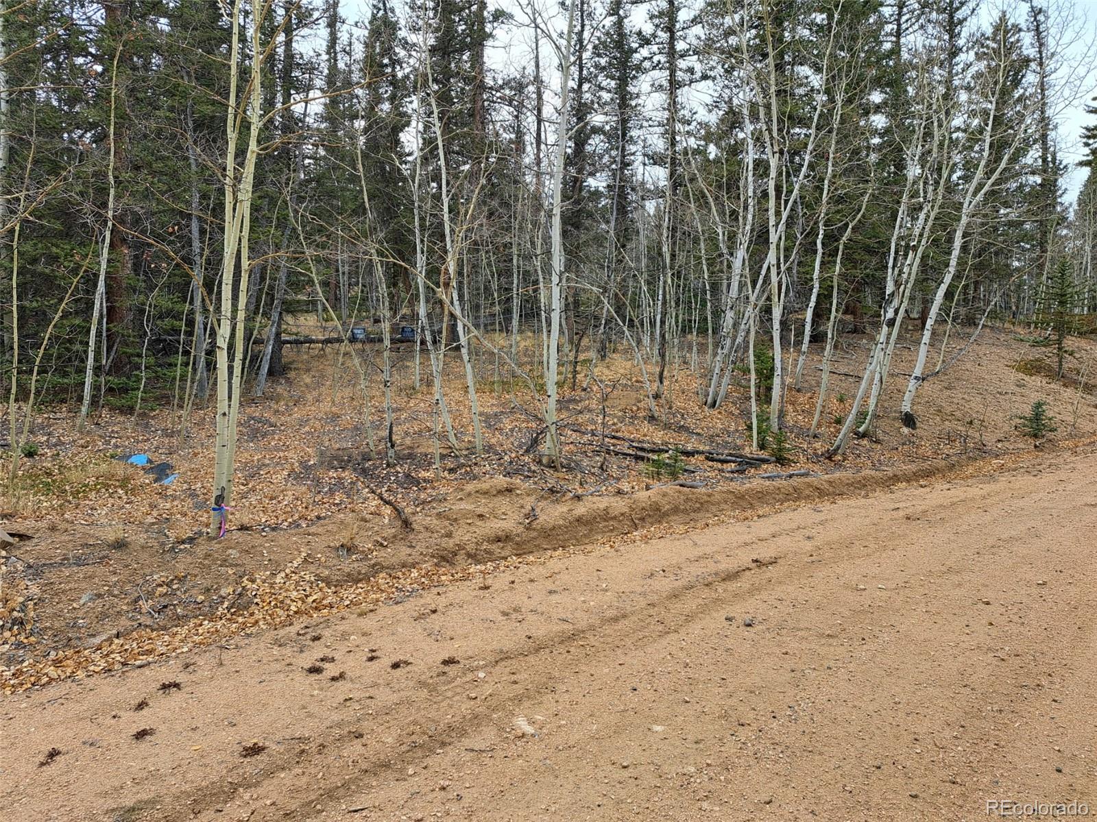 210 Tepee Trail Como CO 80432