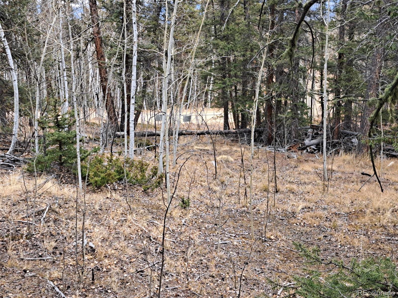 210 Tepee Trail Como CO 80432