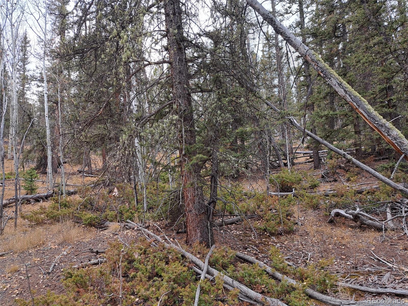 210 Tepee Trail Como CO 80432