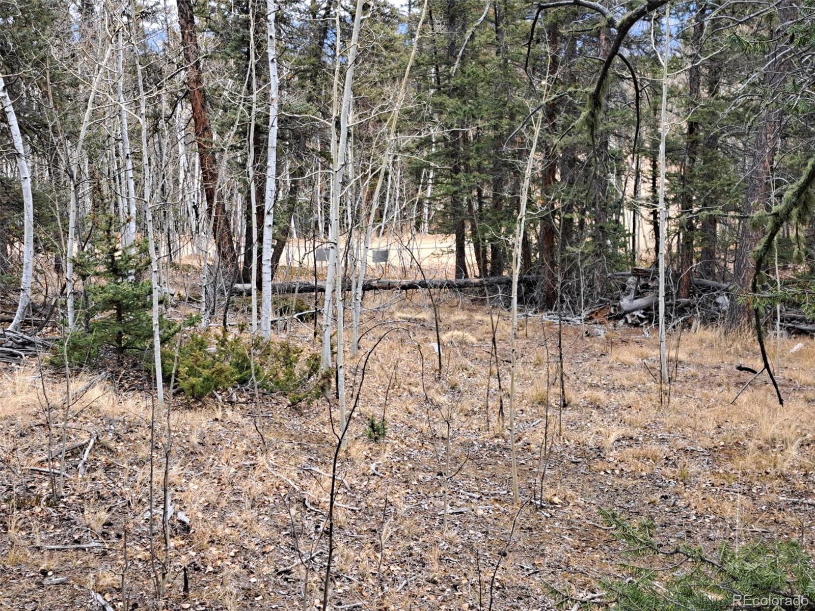 210 Tepee Trail Como CO 80432
