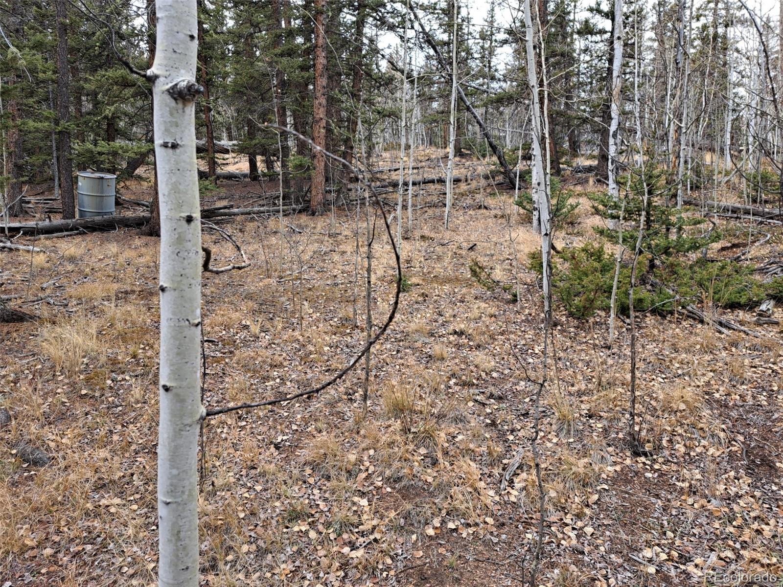 210 Tepee Trail Como CO 80432