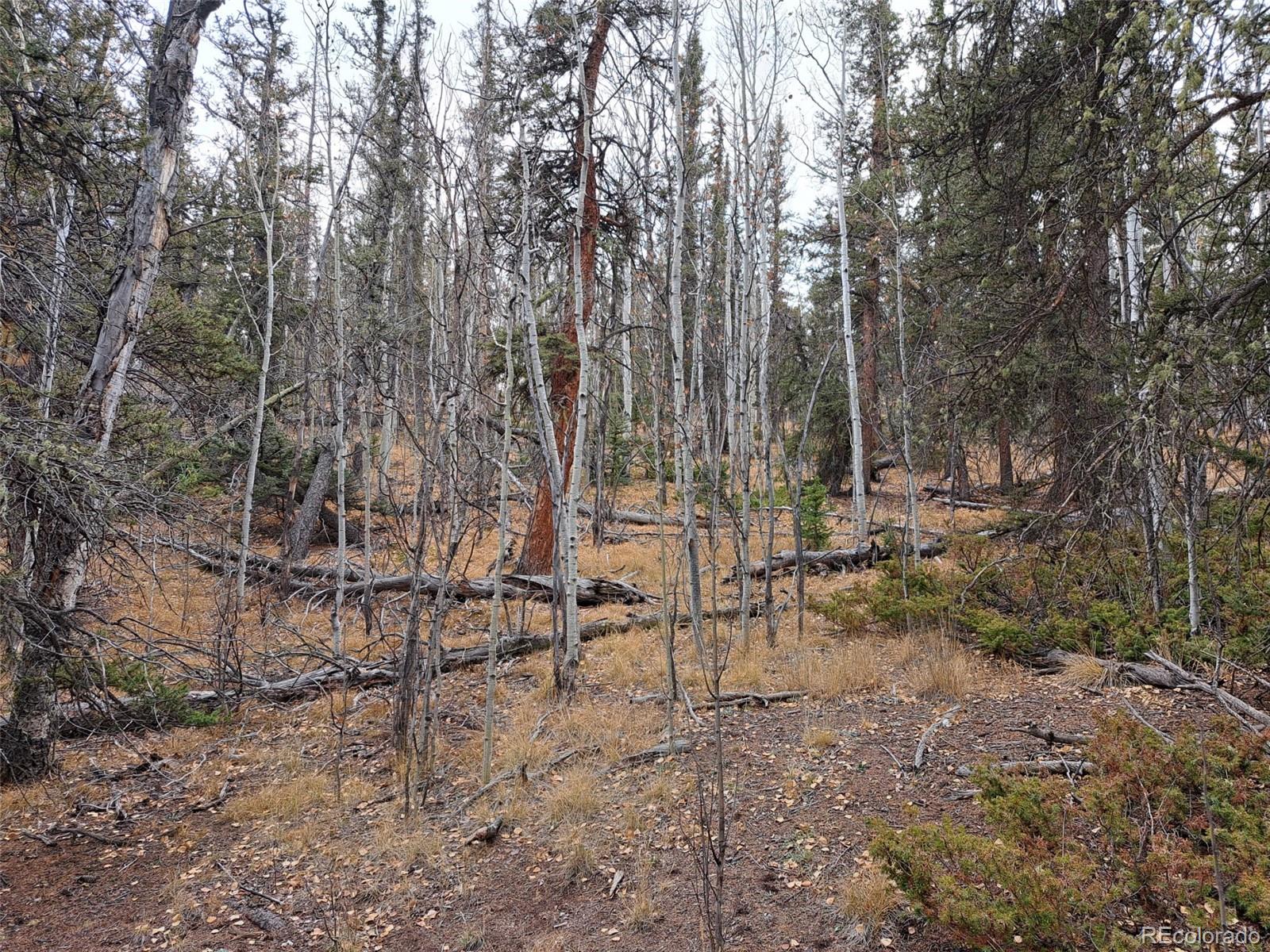 210 Tepee Trail Como CO 80432