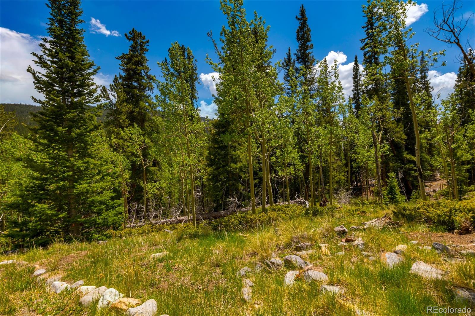 522 Quartzville Road Alma CO 80420