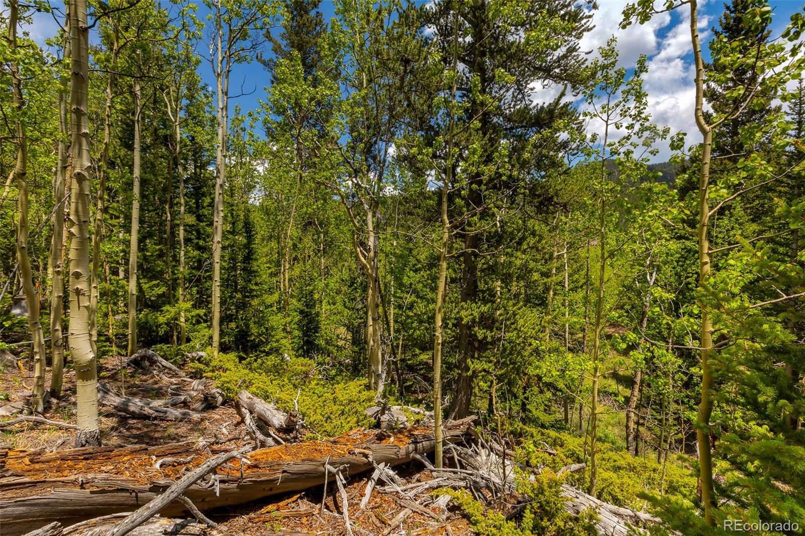 522 Quartzville Road Alma CO 80420