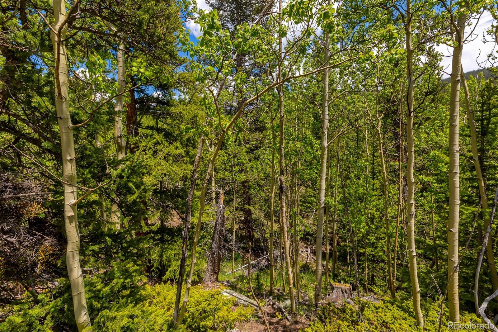 522 Quartzville Road Alma CO 80420