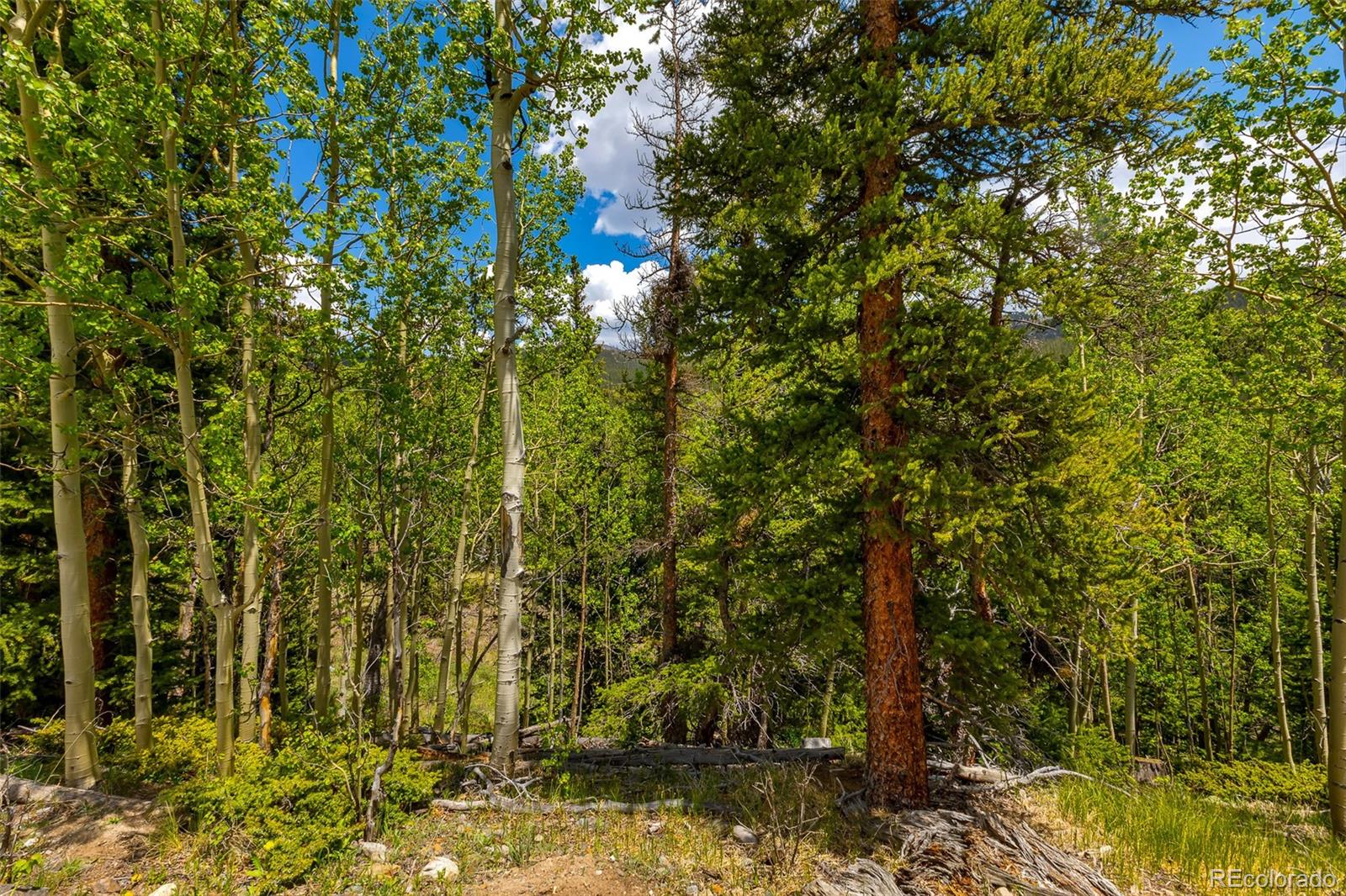 522 Quartzville Road Alma CO 80420