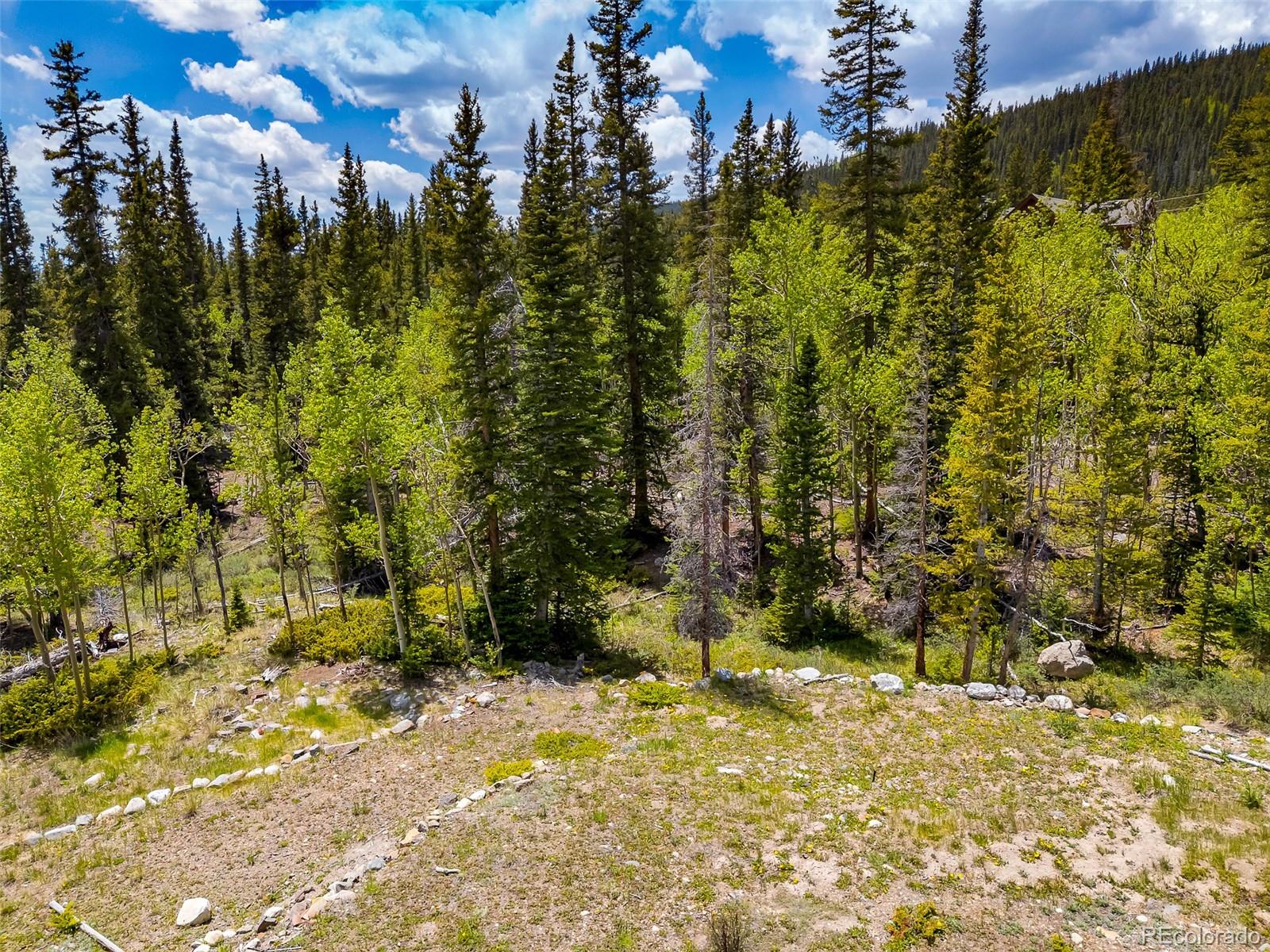 522 Quartzville Road Alma CO 80420