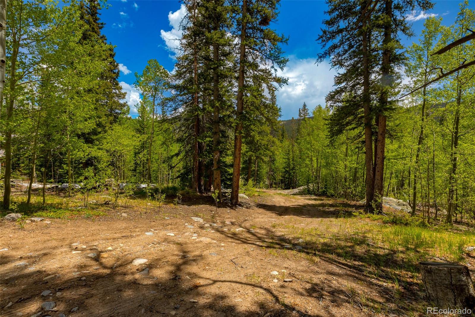 522 Quartzville Road Alma CO 80420
