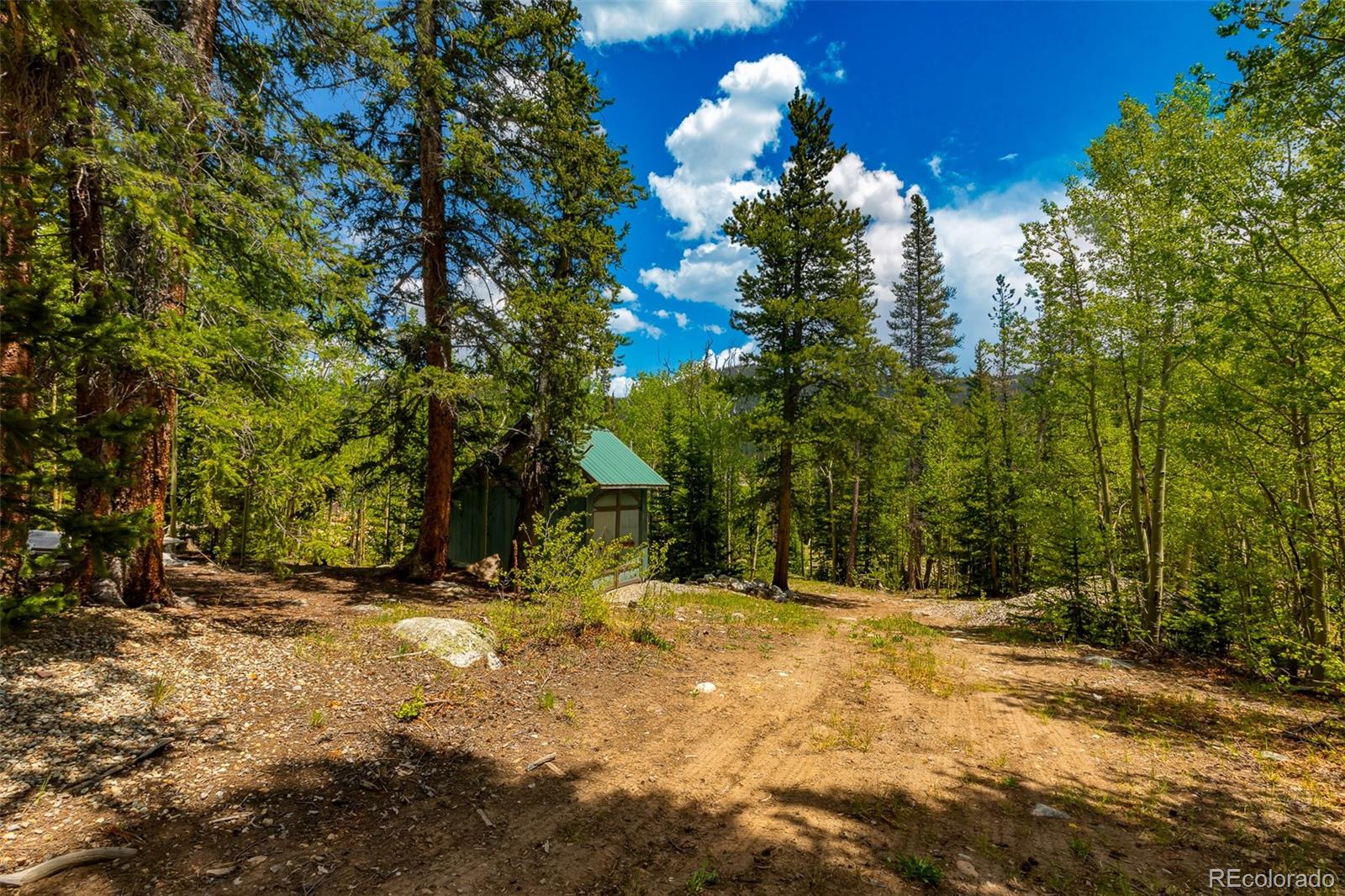 522 Quartzville Road Alma CO 80420