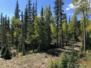 522 Quartzville Road Alma CO 80420