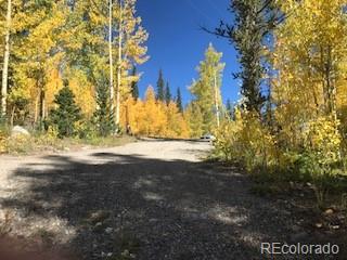 522 Quartzville Road Alma CO 80420