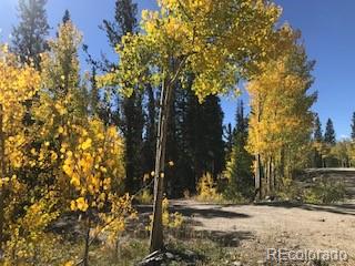 522 Quartzville Road Alma CO 80420