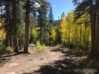 522 Quartzville Road Alma CO 80420