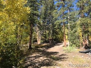 522 Quartzville Road Alma CO 80420