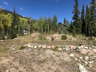 522 Quartzville Road Alma CO 80420