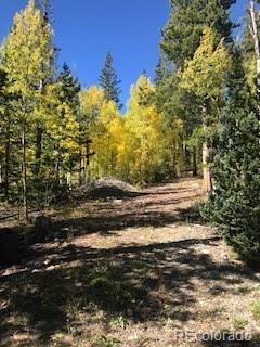 522 Quartzville Road Alma CO 80420