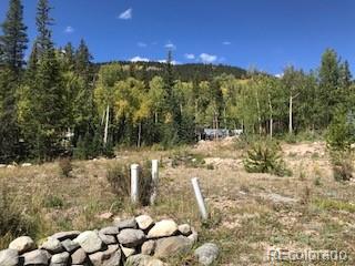 522 Quartzville Road Alma CO 80420