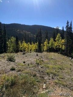 522 Quartzville Road Alma CO 80420