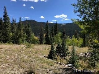 522 Quartzville Road Alma CO 80420