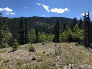 522 Quartzville Road Alma CO 80420