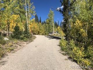 522 Quartzville Road Alma CO 80420