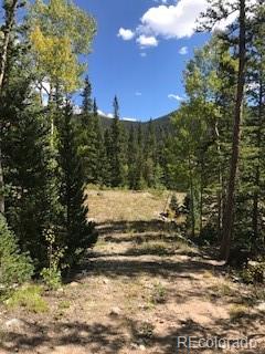 522 Quartzville Road Alma CO 80420