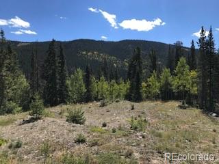 522 Quartzville Road Alma CO 80420