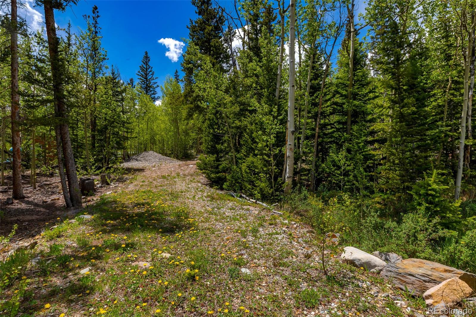 522 Quartzville Road Alma CO 80420