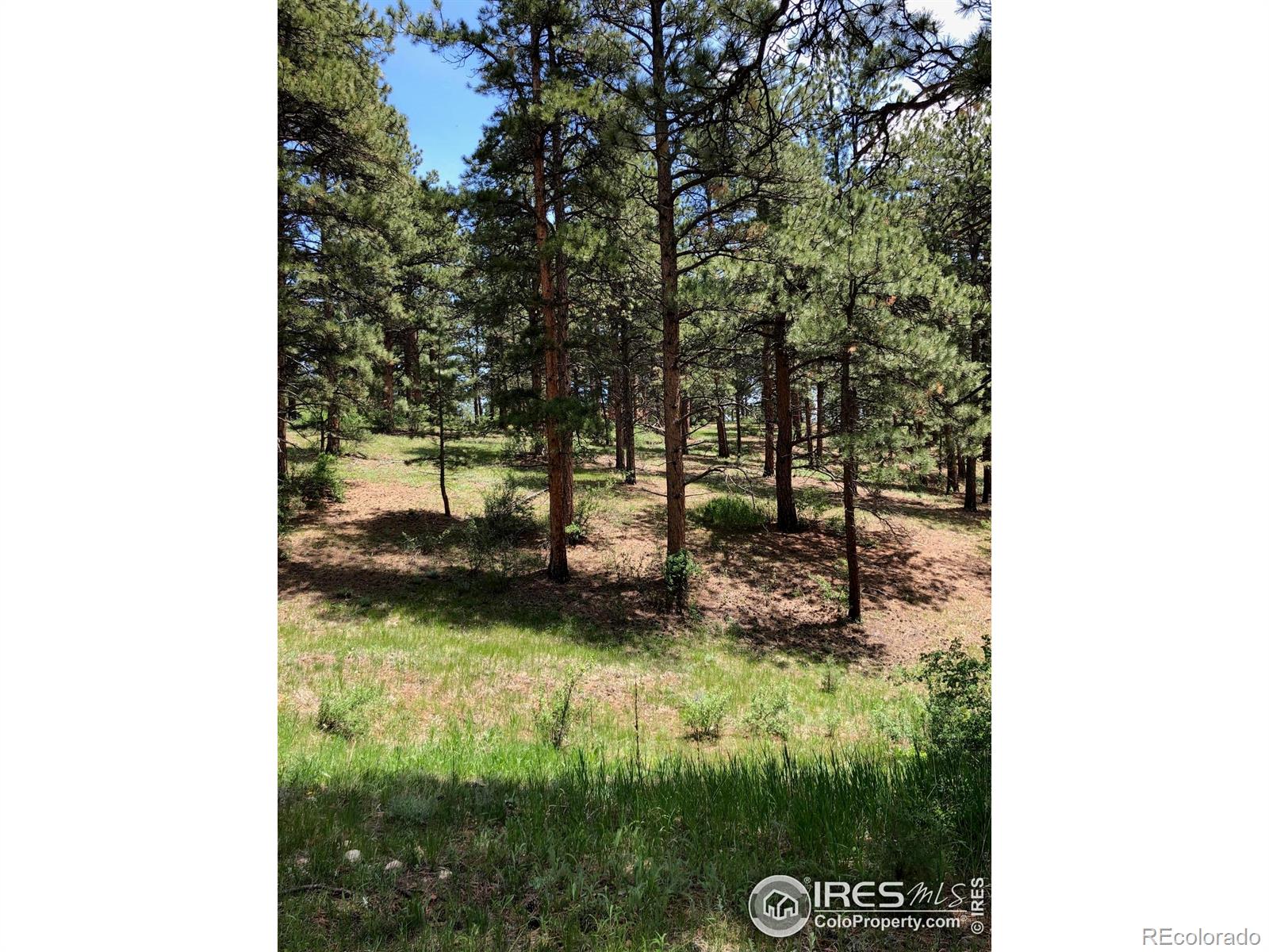 442 Quarter Circle Lane Evergreen CO 80439