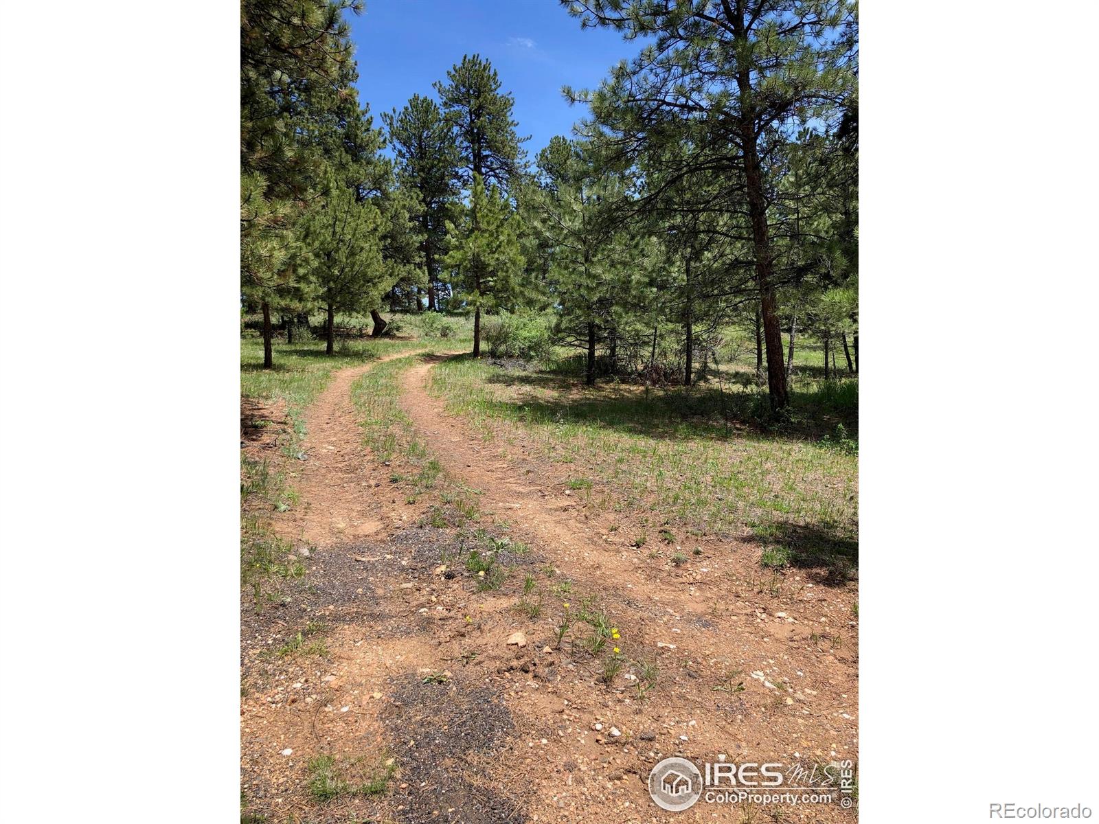 442 Quarter Circle Lane Evergreen CO 80439