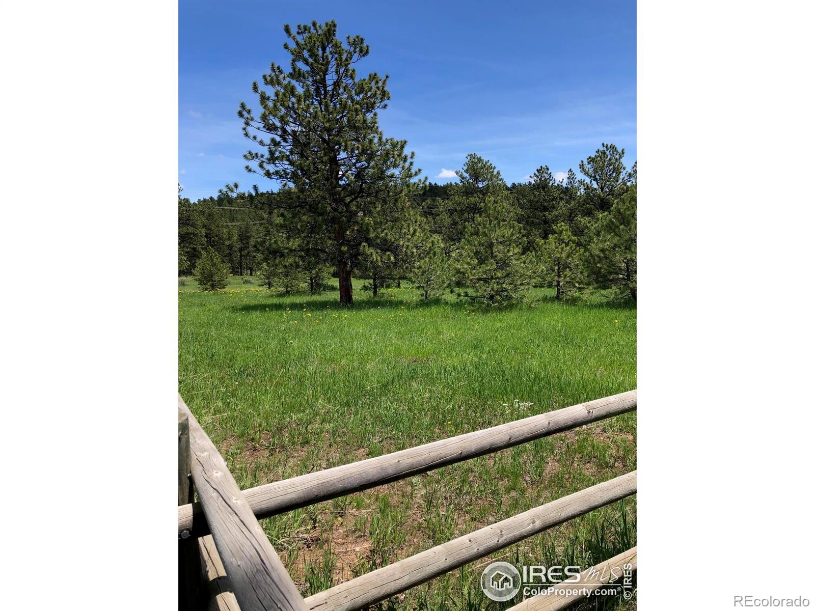 442 Quarter Circle Lane Evergreen CO 80439