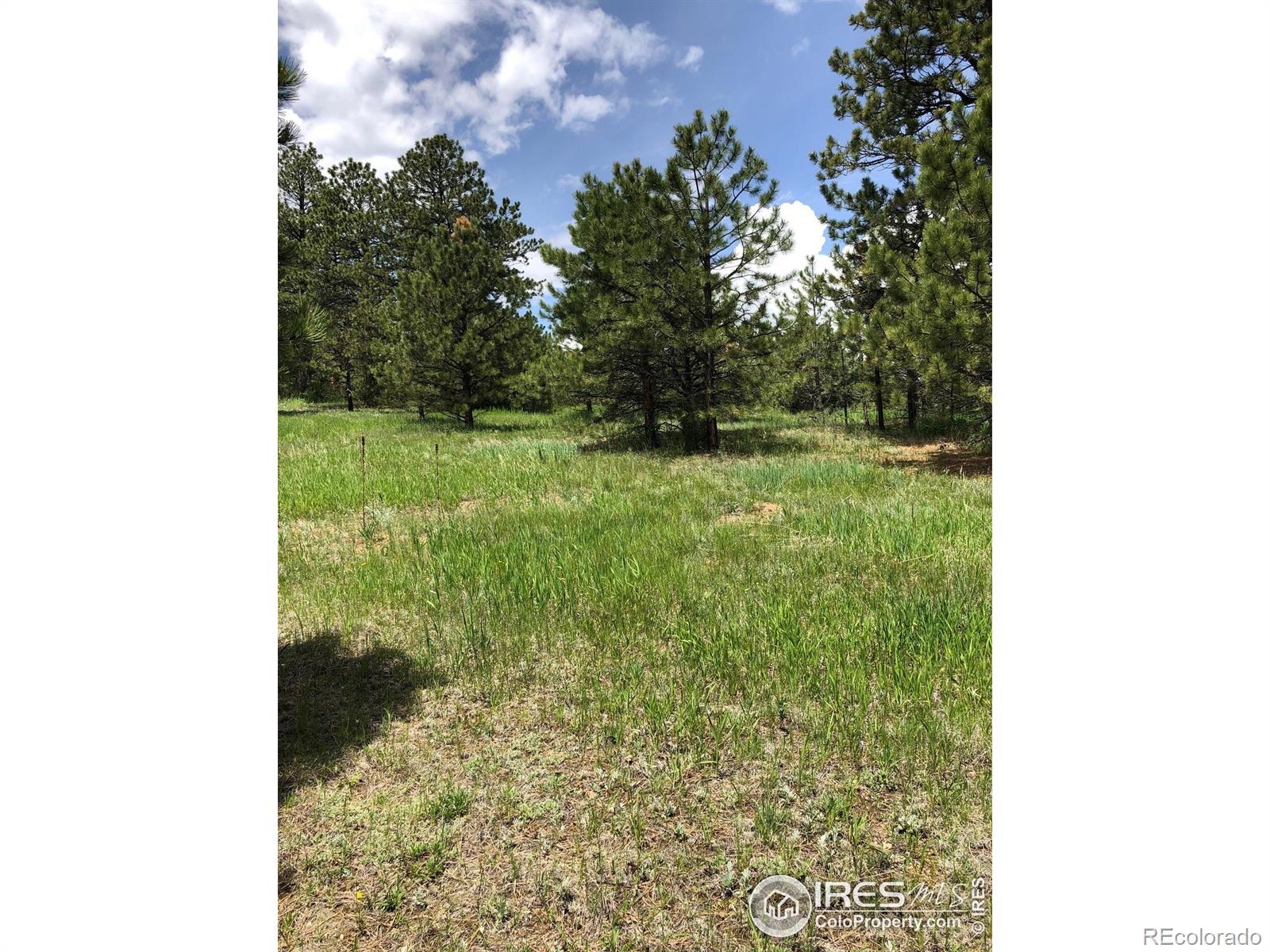 442 Quarter Circle Lane Evergreen CO 80439