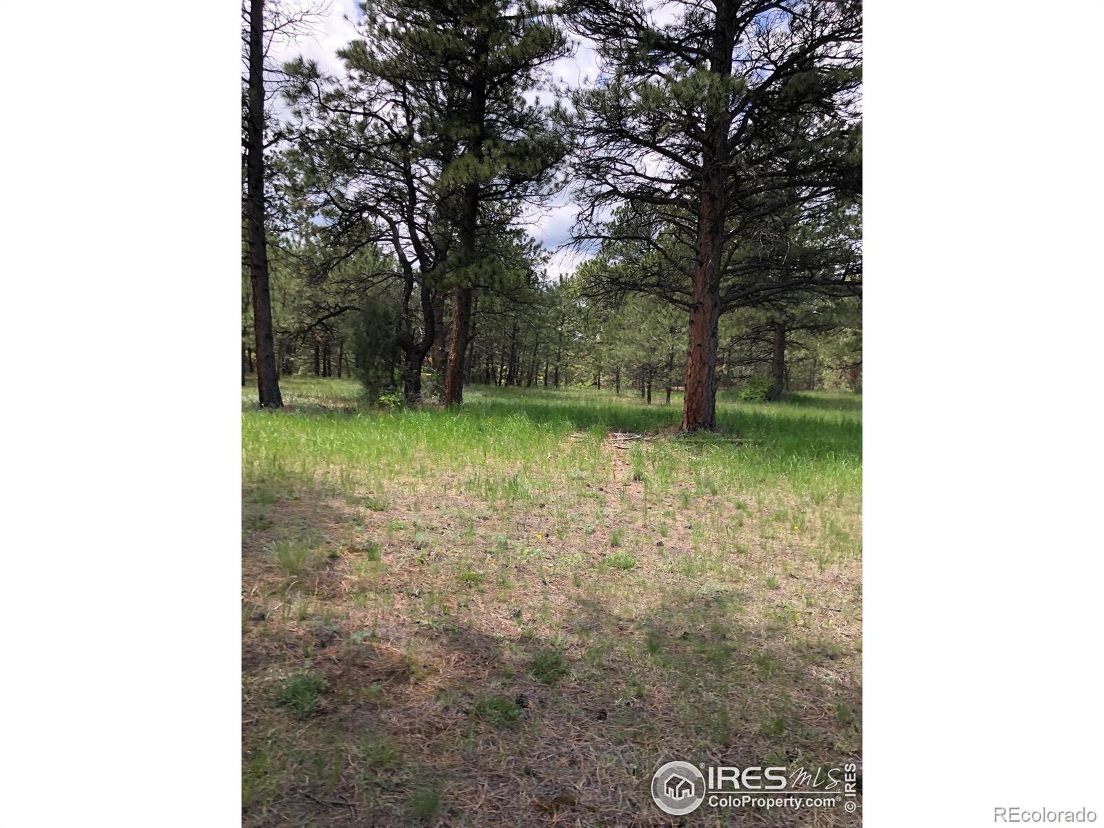 442 Quarter Circle Lane Evergreen CO 80439