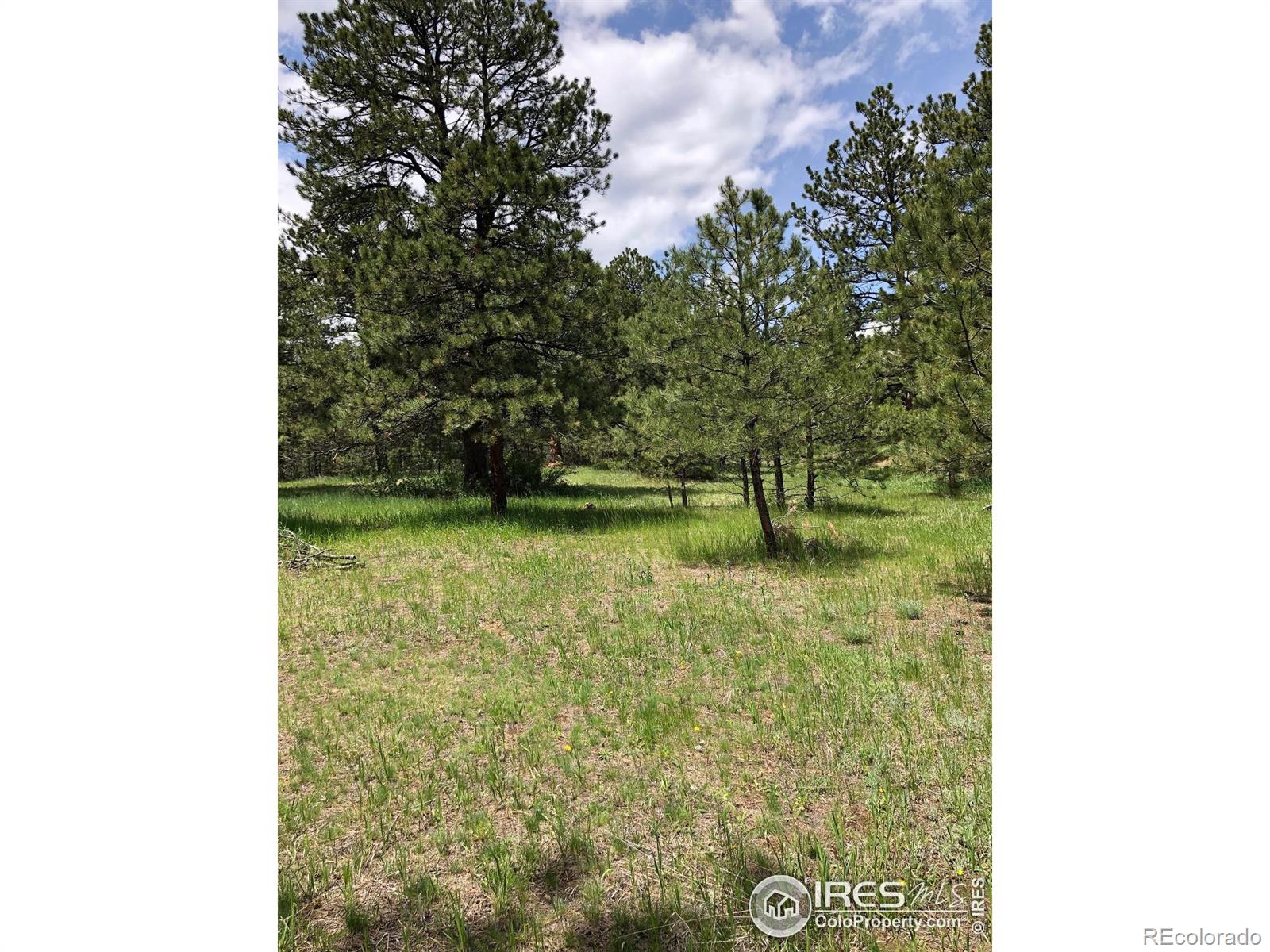 442 Quarter Circle Lane Evergreen CO 80439