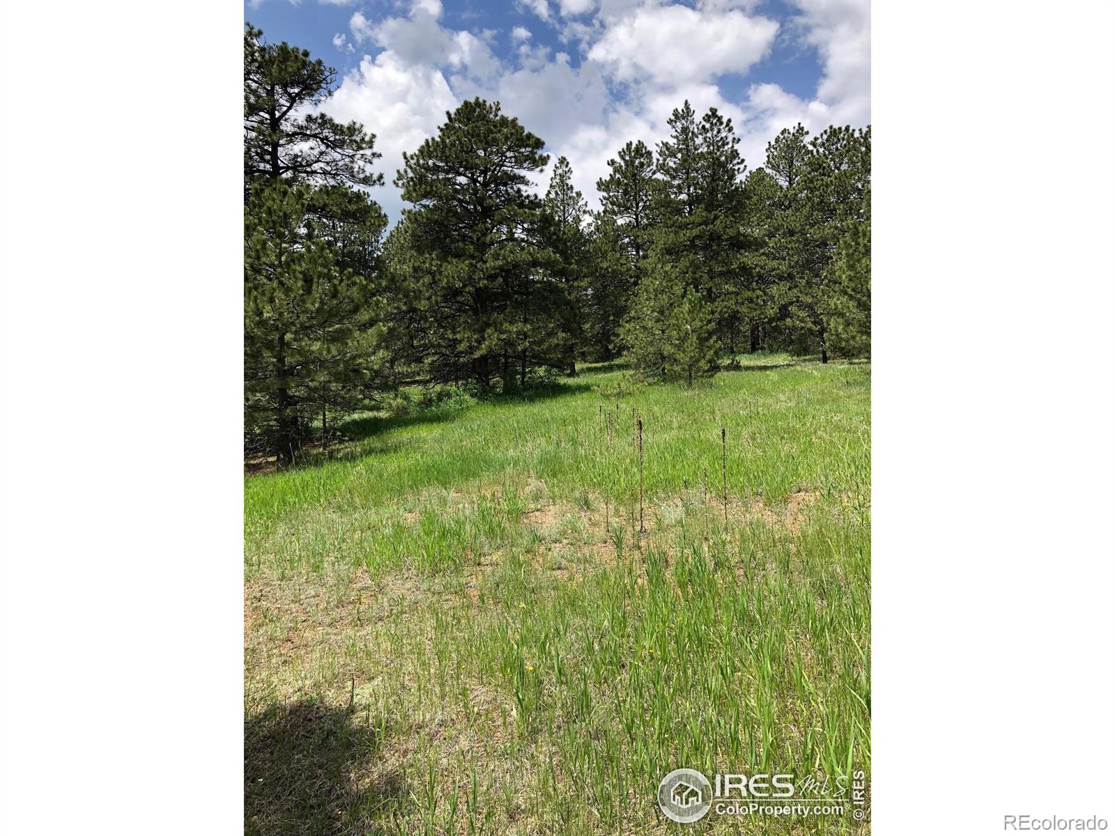 442 Quarter Circle Lane Evergreen CO 80439