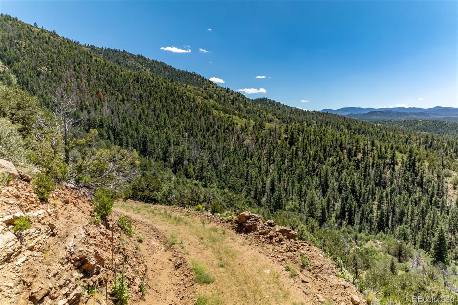 1403 Oak Creek Drive Canon City CO 81212
