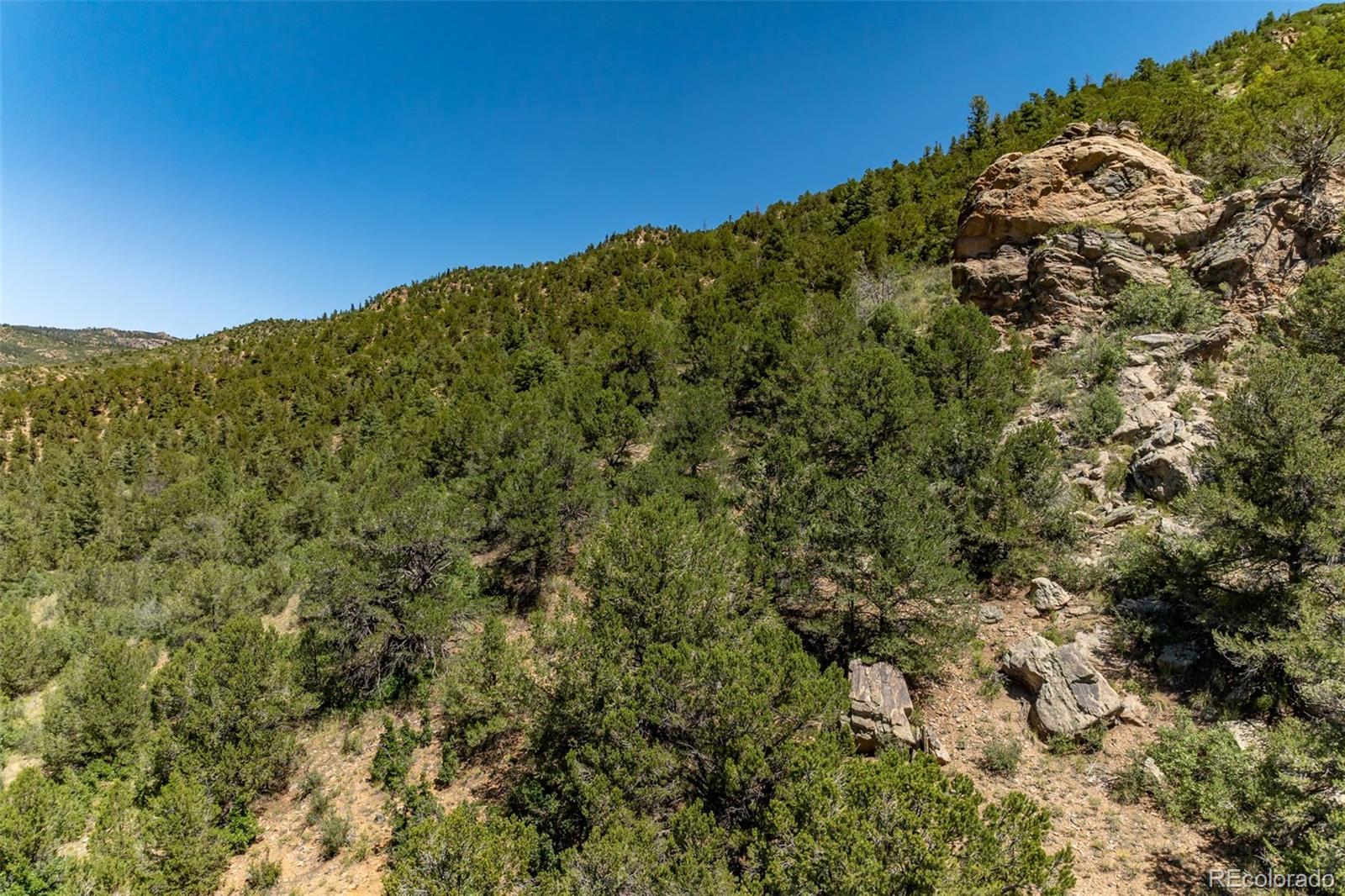 1403 Oak Creek Drive Canon City CO 81212