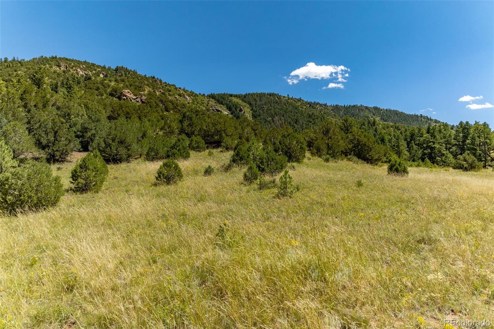 1403 Oak Creek Drive Canon City CO 81212