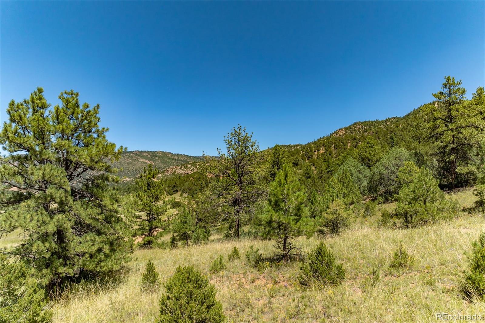 1403 Oak Creek Drive Canon City CO 81212
