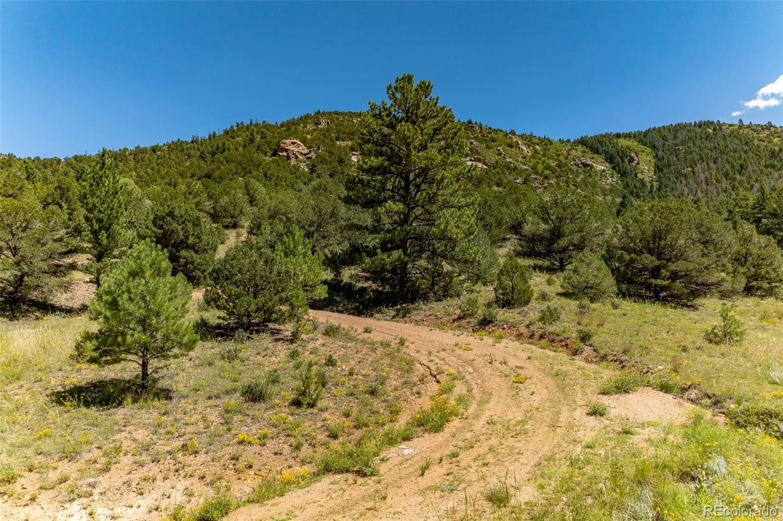 1403 Oak Creek Drive Canon City CO 81212