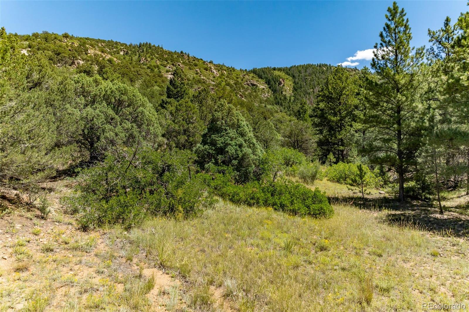 1403 Oak Creek Drive Canon City CO 81212