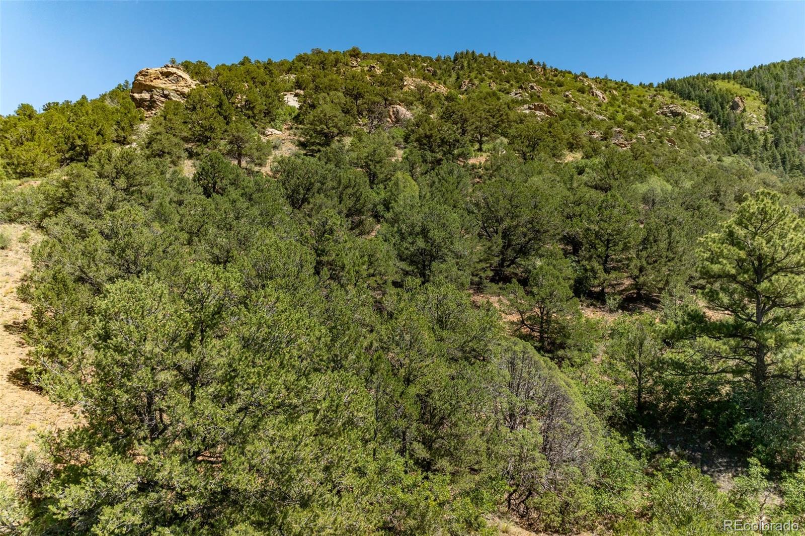 1403 Oak Creek Drive Canon City CO 81212