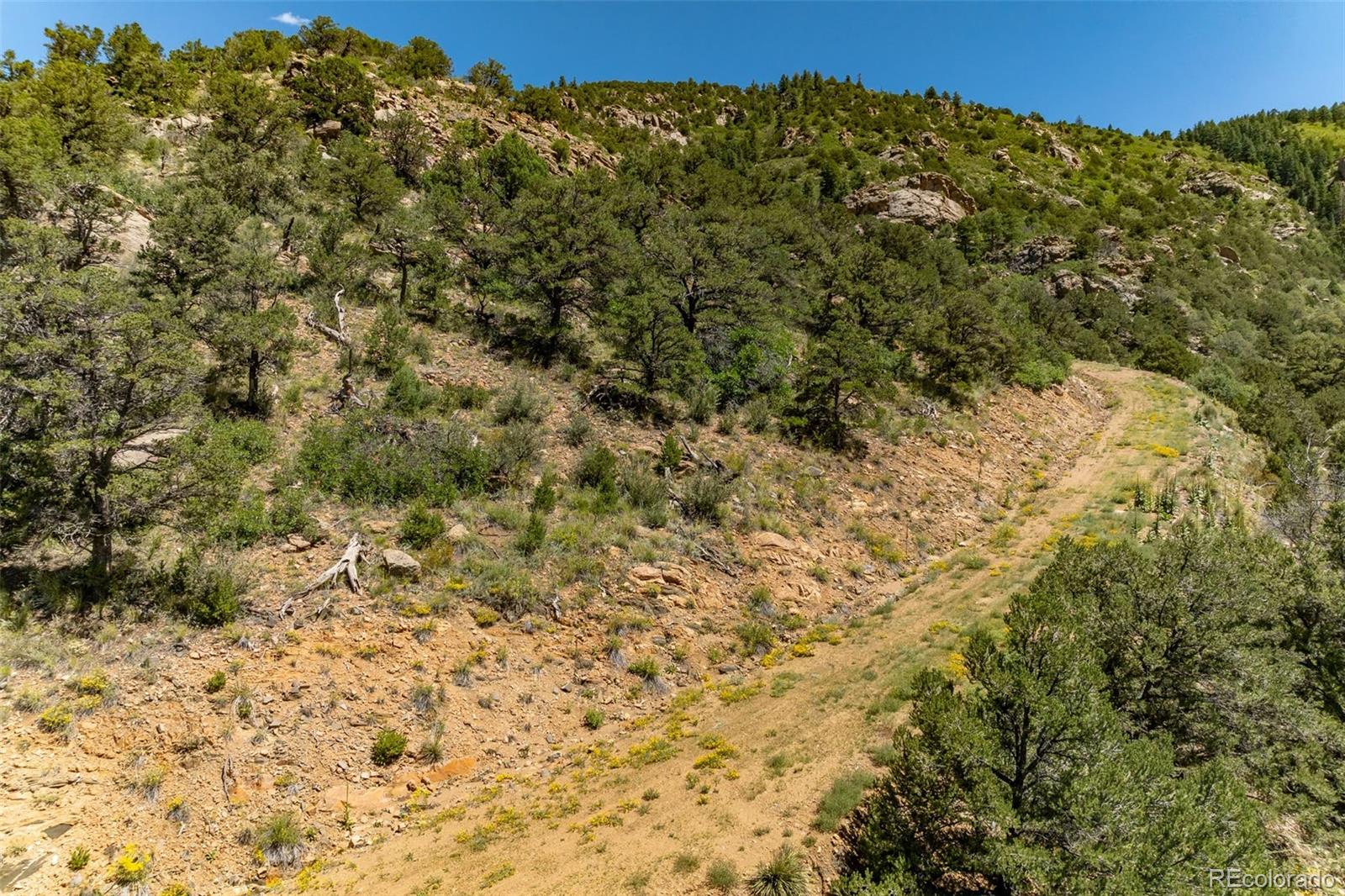 1403 Oak Creek Drive Canon City CO 81212